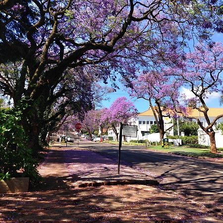 Waterhouse Guest Lodge In Muckleneuk Pretoria Bagian luar foto